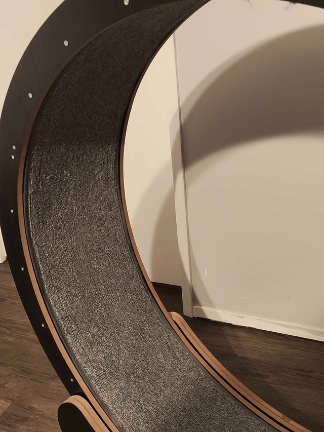 Cat Wheel - photo 3