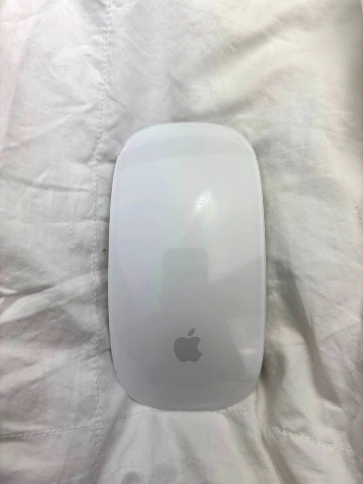 Apple Mouse