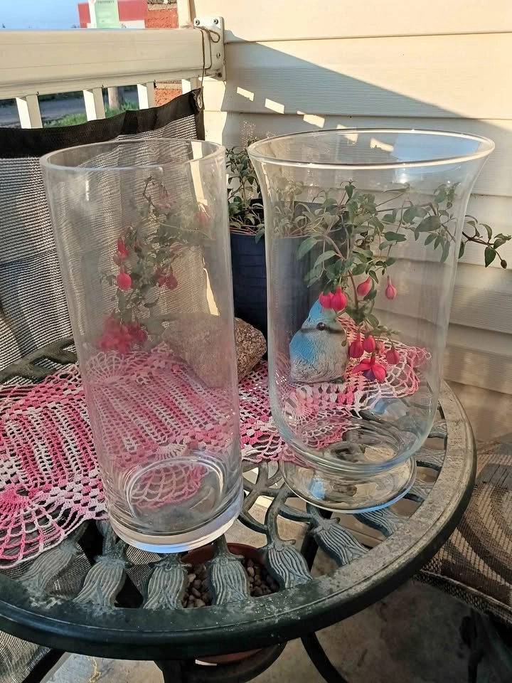 Set of 2 Clear Glass Flower Vases – Excellent Condition