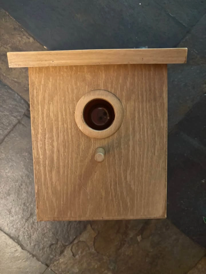 NEW Spy Birdhouse - photo 2