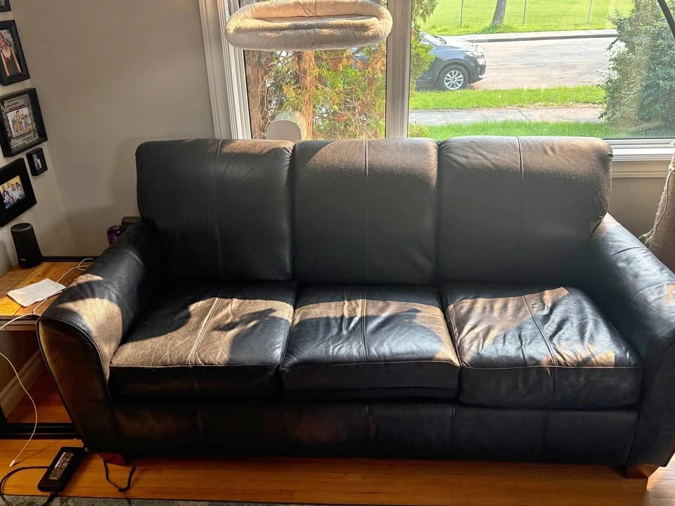 Free Leather Couch