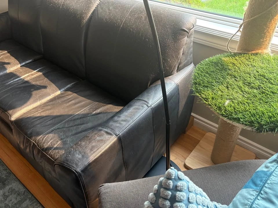Free Leather Couch - photo 2