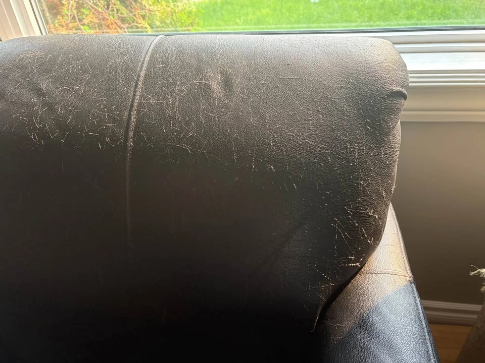 Free Leather Couch - photo 4