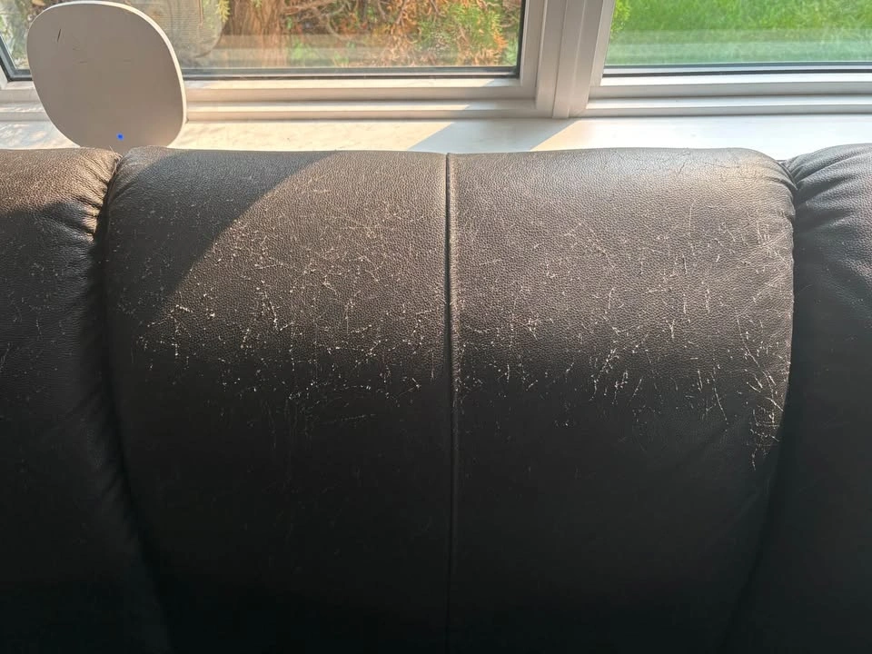 Free Leather Couch - photo 5