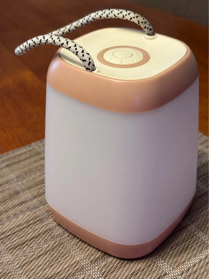 Portable indoor/outdoor table lantern