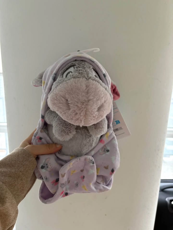 Eeyore Disney Babies Small Soft Toy in Swaddle - 25cm