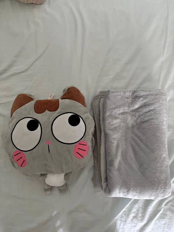 Cute Cat Plush Pillow with Hidden Blanket (2-in-1) 🐱🩶