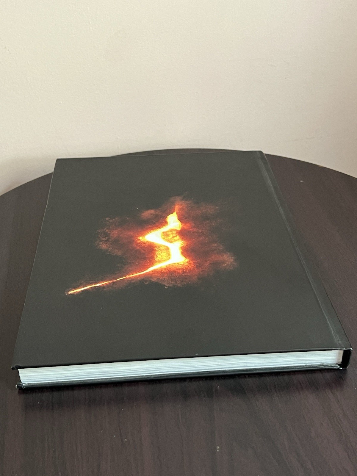 Resident Evil 5 Collector's Guide + 2009 Calendar - photo 5