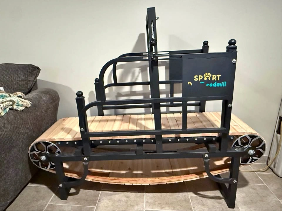 Dog Treadmill For Large Dogs