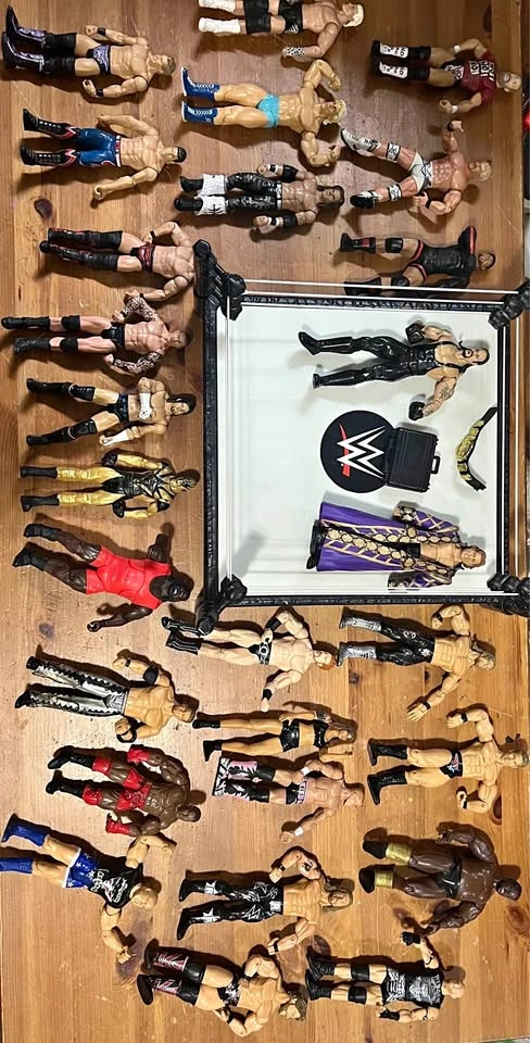 WWE Action Figurines