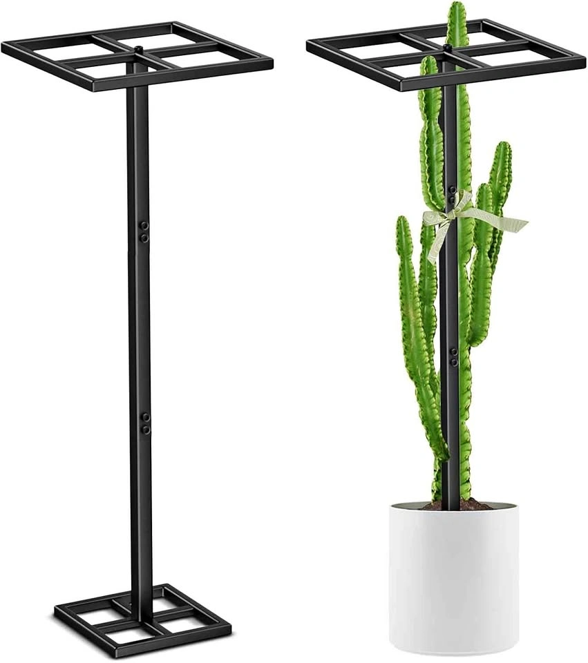 Adjustable Metal Dragon Fruit Trellis Plant Support