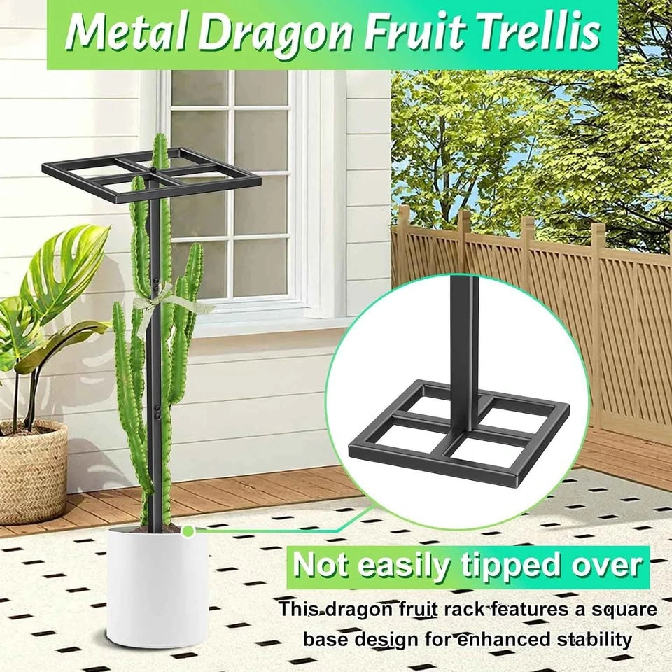 Adjustable Metal Dragon Fruit Trellis Plant Support - photo 5