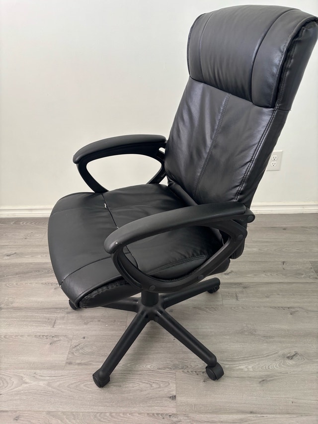 Turcotte Luxura High-Back Executive Office Chair