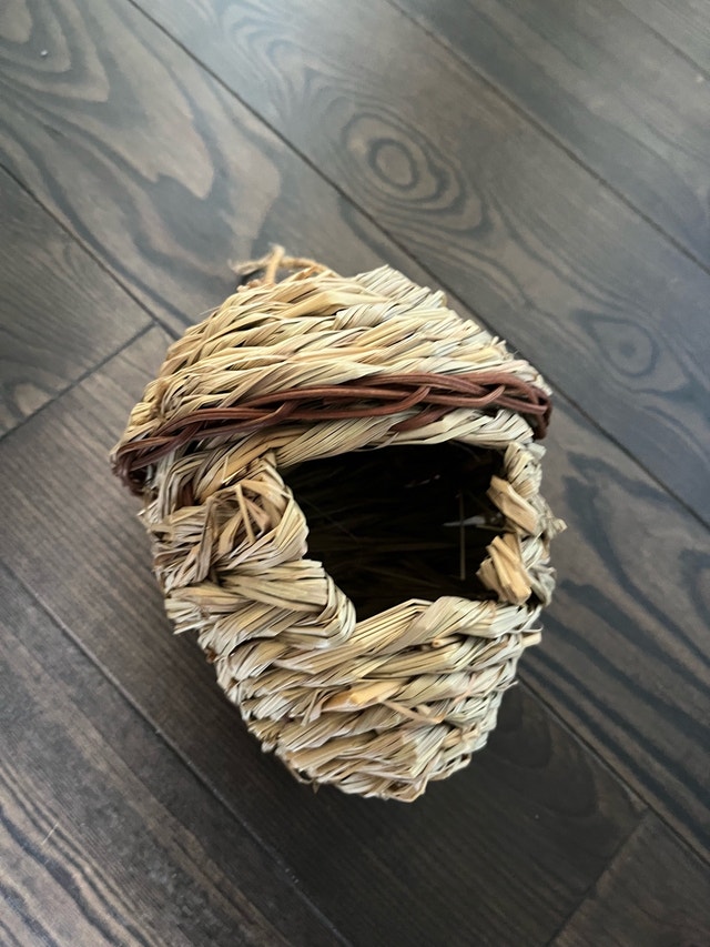 Acorn Decoration