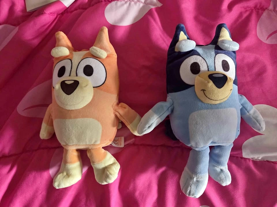 Bluey and Bingo Plush Toys