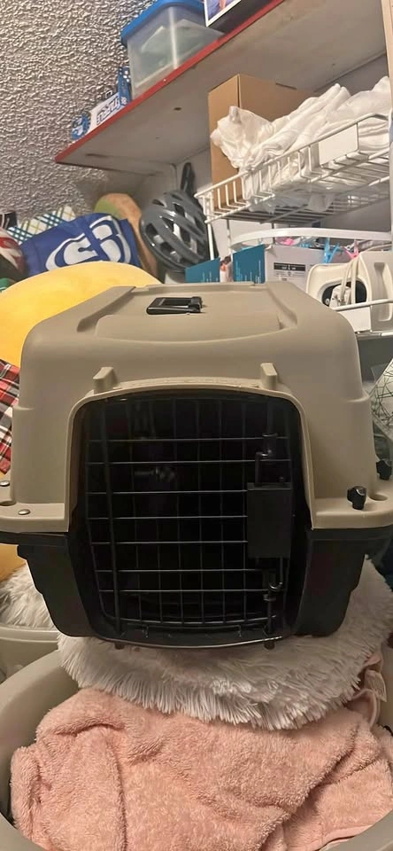 Pet Carrier