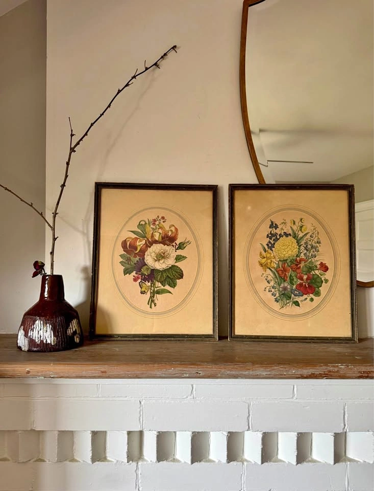 Vintage Botanical Floral Prints Framed Wall Art Pair