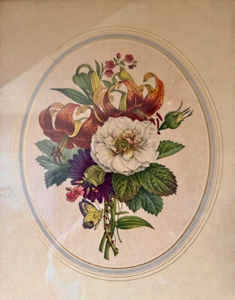 Vintage Botanical Floral Prints Framed Wall Art Pair - photo 4