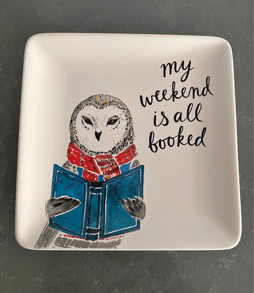 Indigo Owl Square Plate