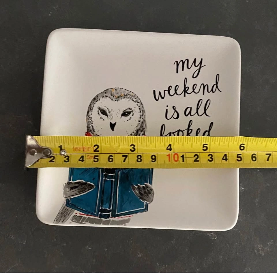 Indigo Owl Square Plate - photo 4
