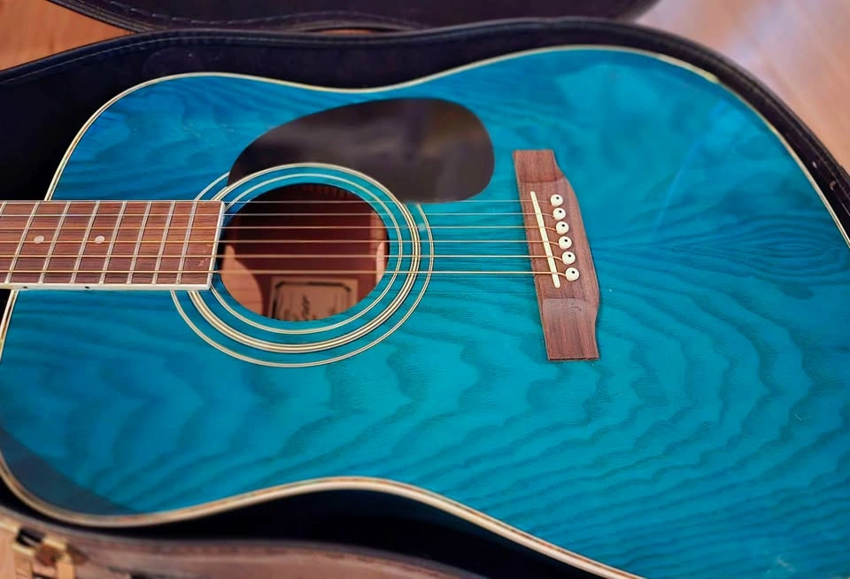 Rare Emerald Green Hohner Acoustic Guitar Bundle - photo 2