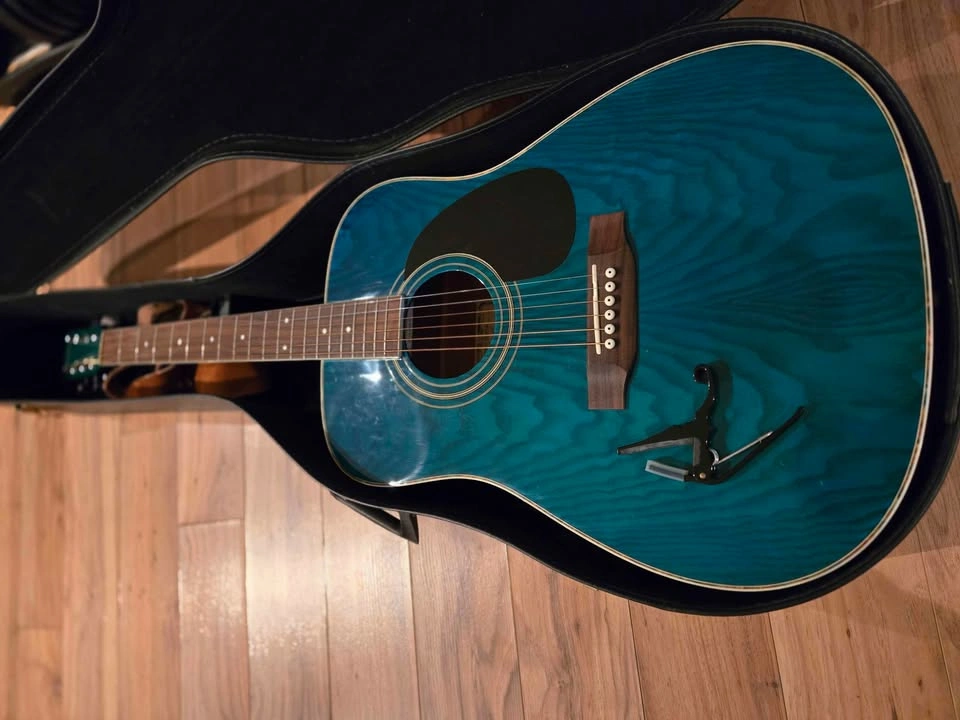 Rare Emerald Green Hohner Acoustic Guitar Bundle - photo 5