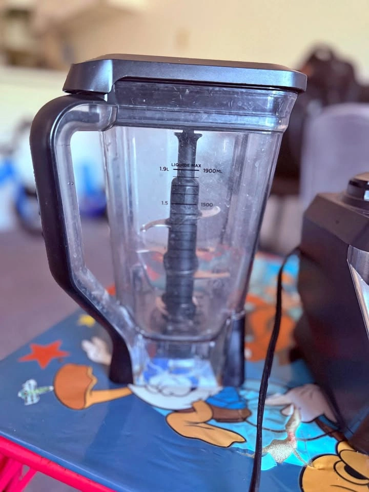 Ninja Professional 900 Watts Blender