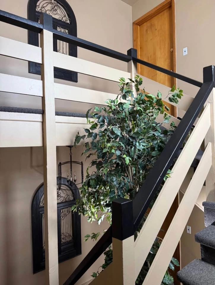 2 Beds 1 Bath - Apartment - photo 4