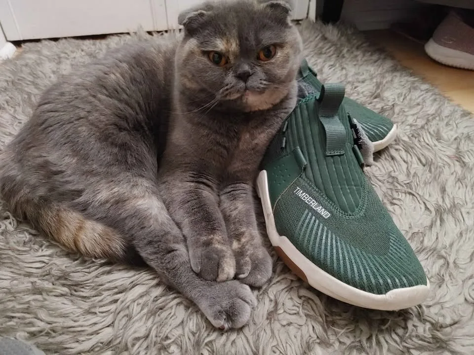 Timbs Sneakers image indicator(2)