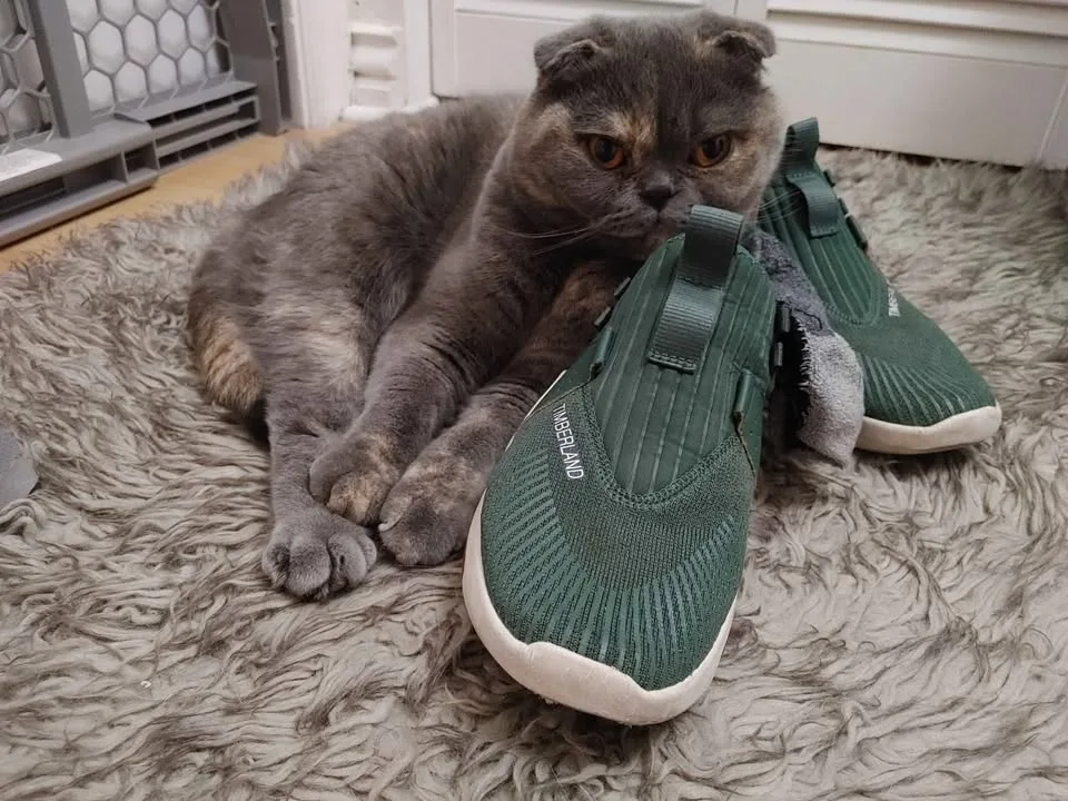 Timbs Sneakers image indicator(3)