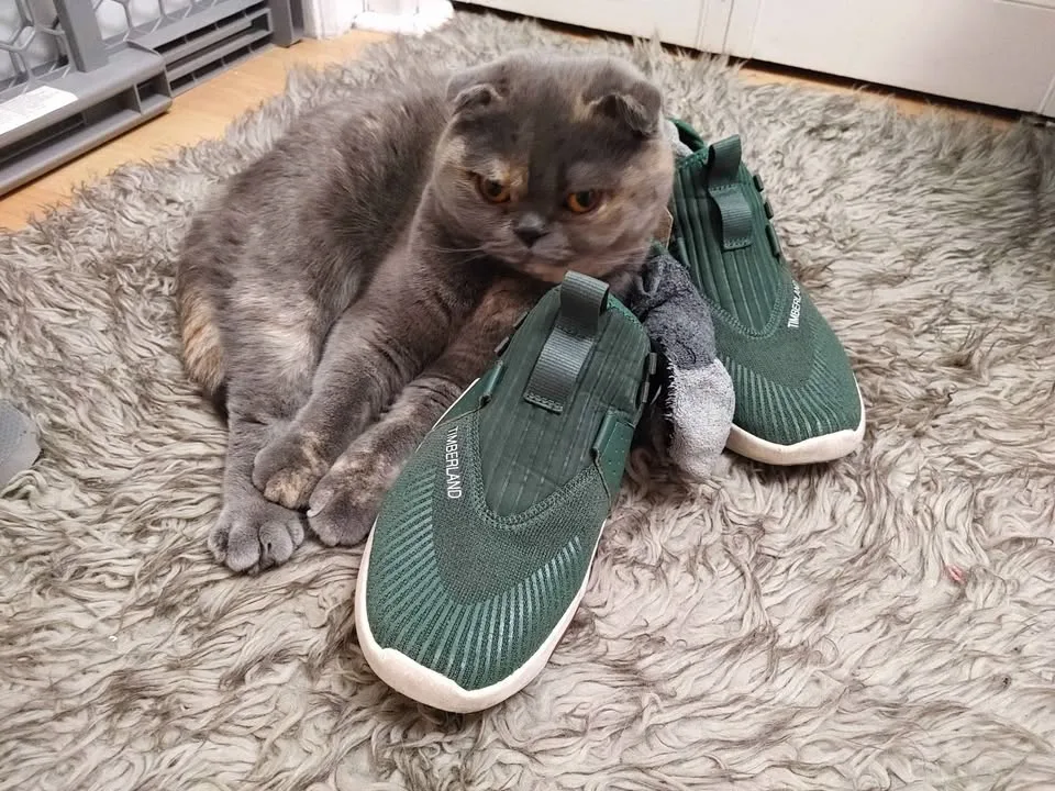 Timbs Sneakers image indicator(4)