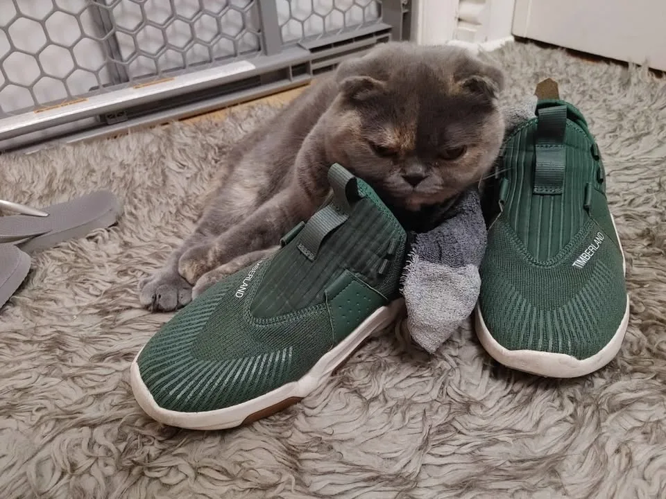 Timbs Sneakers image indicator(5)