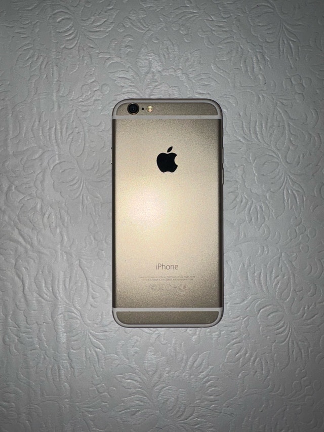 iPhone 6 (16GB, Rose Gold) Bundle – Unlocked, 100% Battery - photo 2