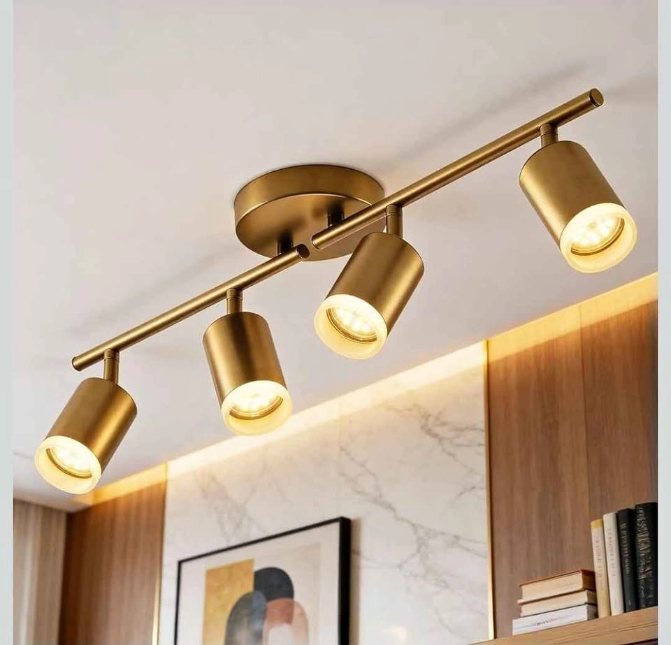 Bojim 4-Light LED Track Lighting Fixture - Gold