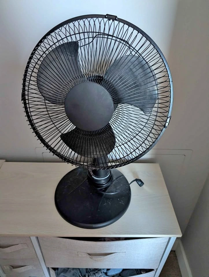 Fan