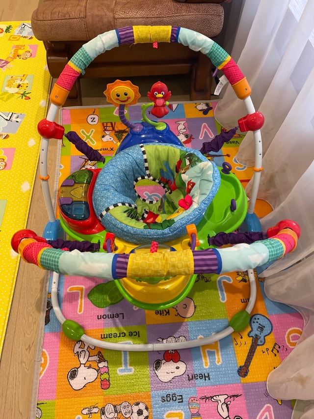 Baby Einstein Jumper
