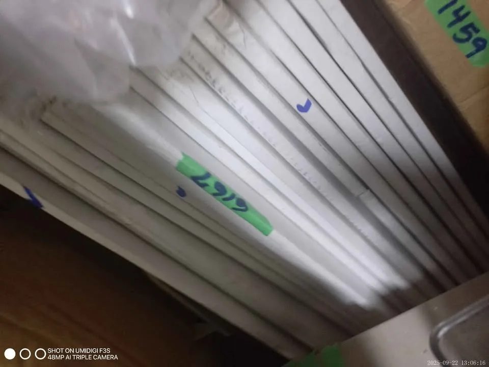 Mats 4pk 36x24" Large Sticky Mat - Dogs/Home/Office image indicator(3)