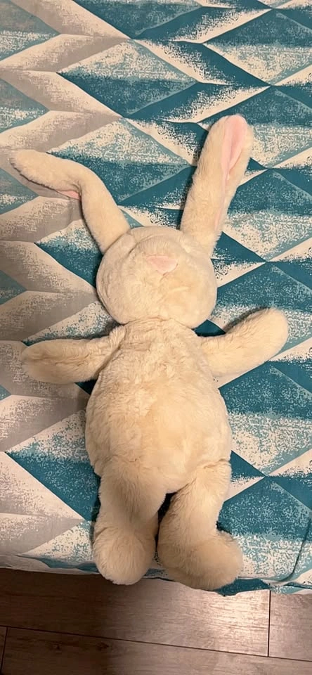 Cream Plush Bunny Toy