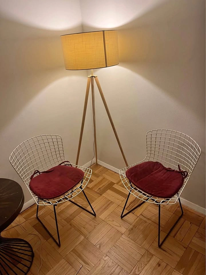 Replica White Bertoia Chairs - Set of 2