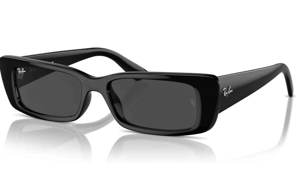 Ray Ban Teru sunglasses
