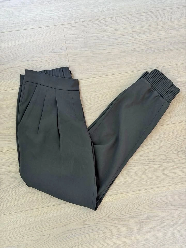 Aritzia Babaton Harvey Jogger