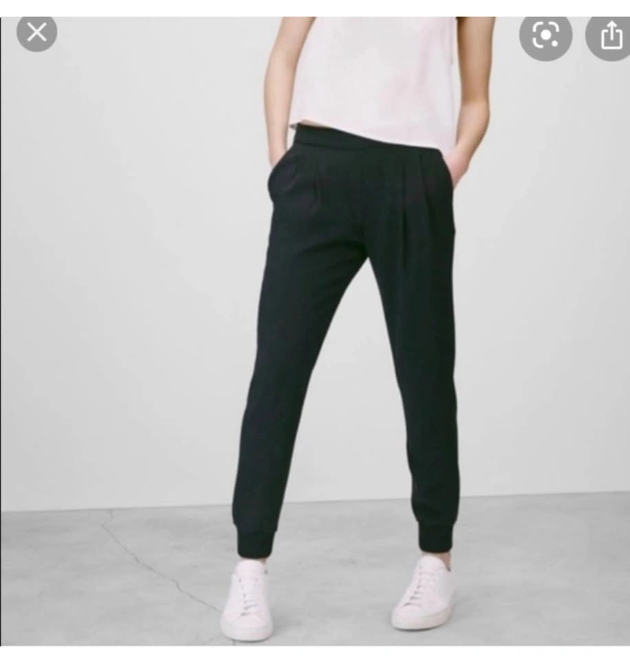 Aritzia Babaton Harvey Jogger - photo 2