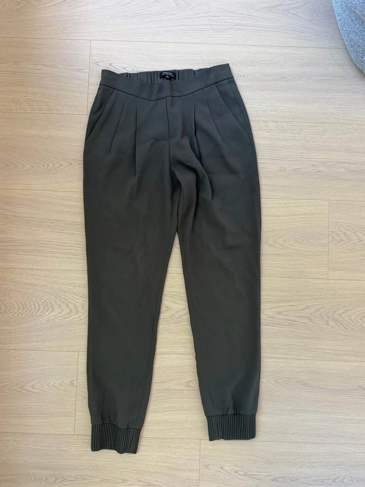Aritzia Babaton Harvey Jogger - photo 3