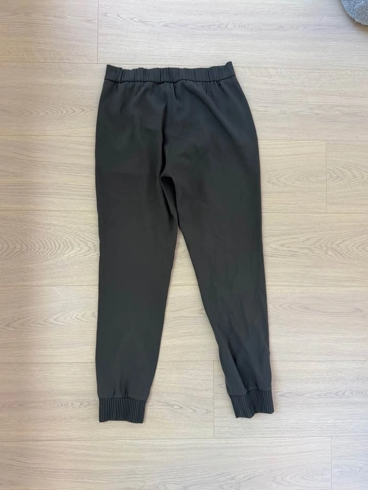 Aritzia Babaton Harvey Jogger - photo 4