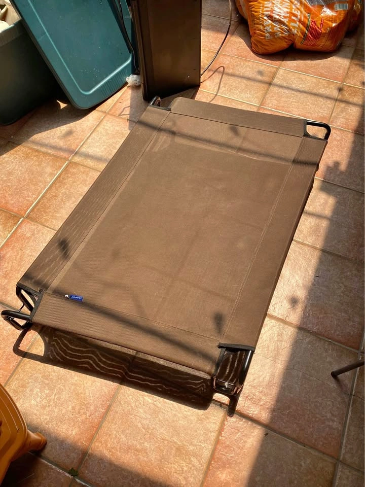 Raised dog bed