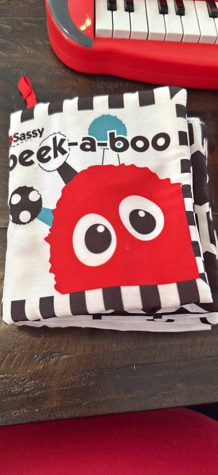 Sassy Peek-a-boo krinkly Soft Baby Book