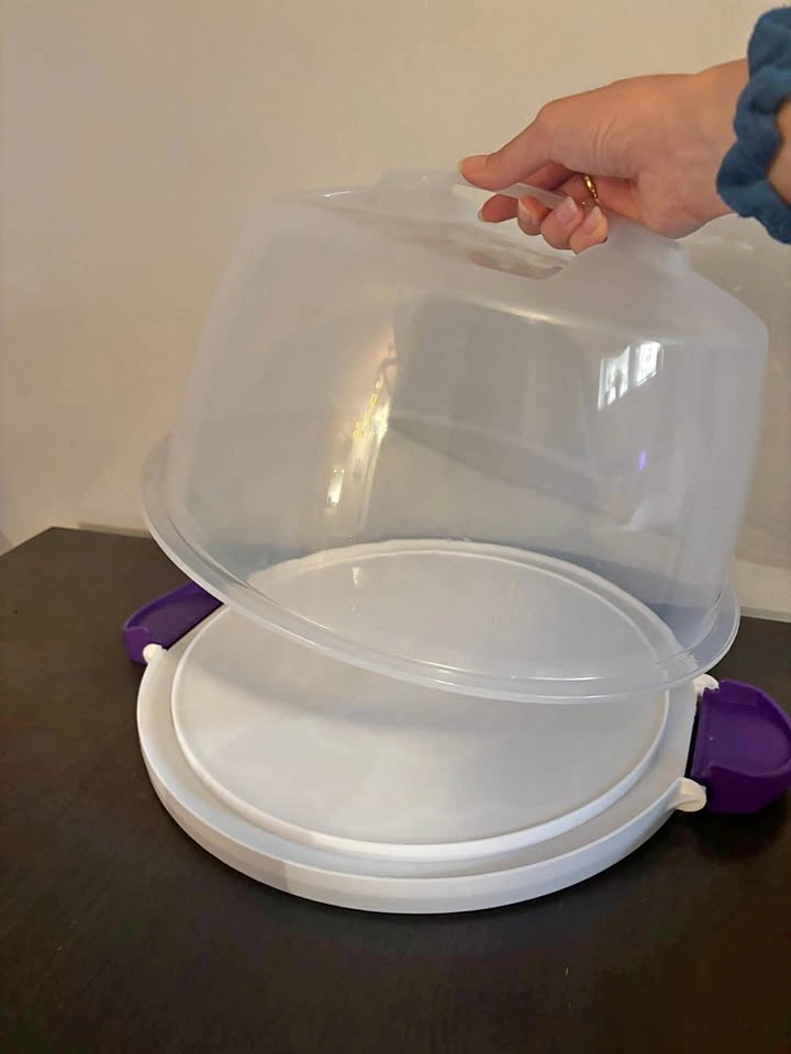 Cake/pastry carrier