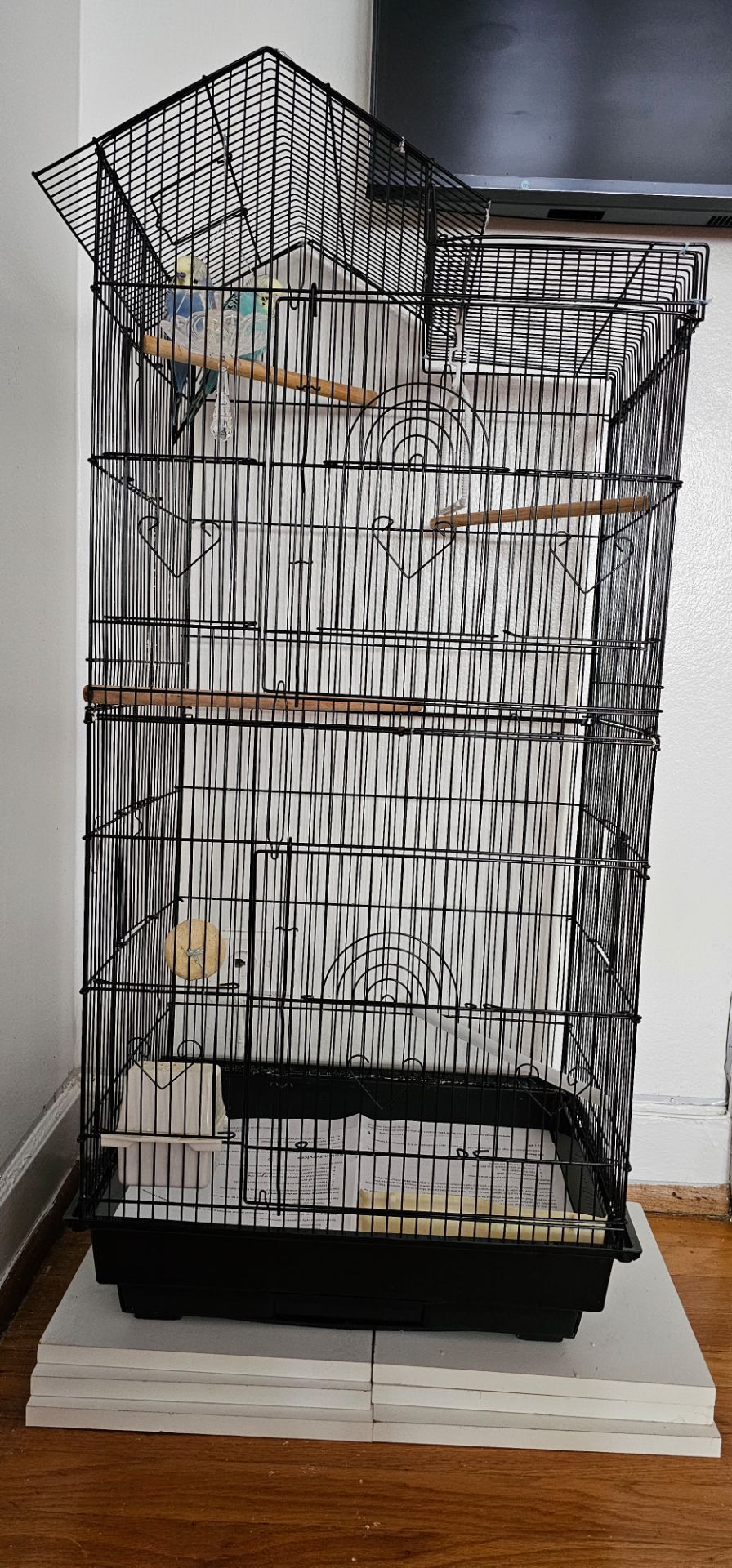 Bird Cage Sale