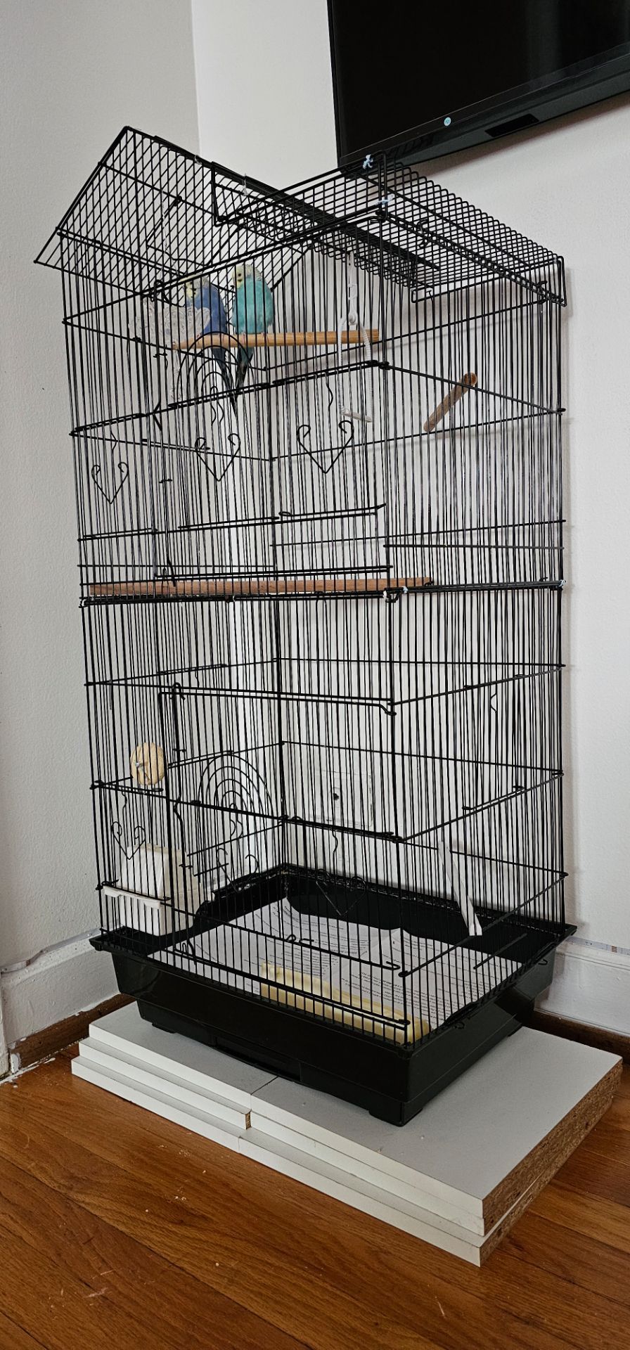 Bird Cage Sale - photo 2