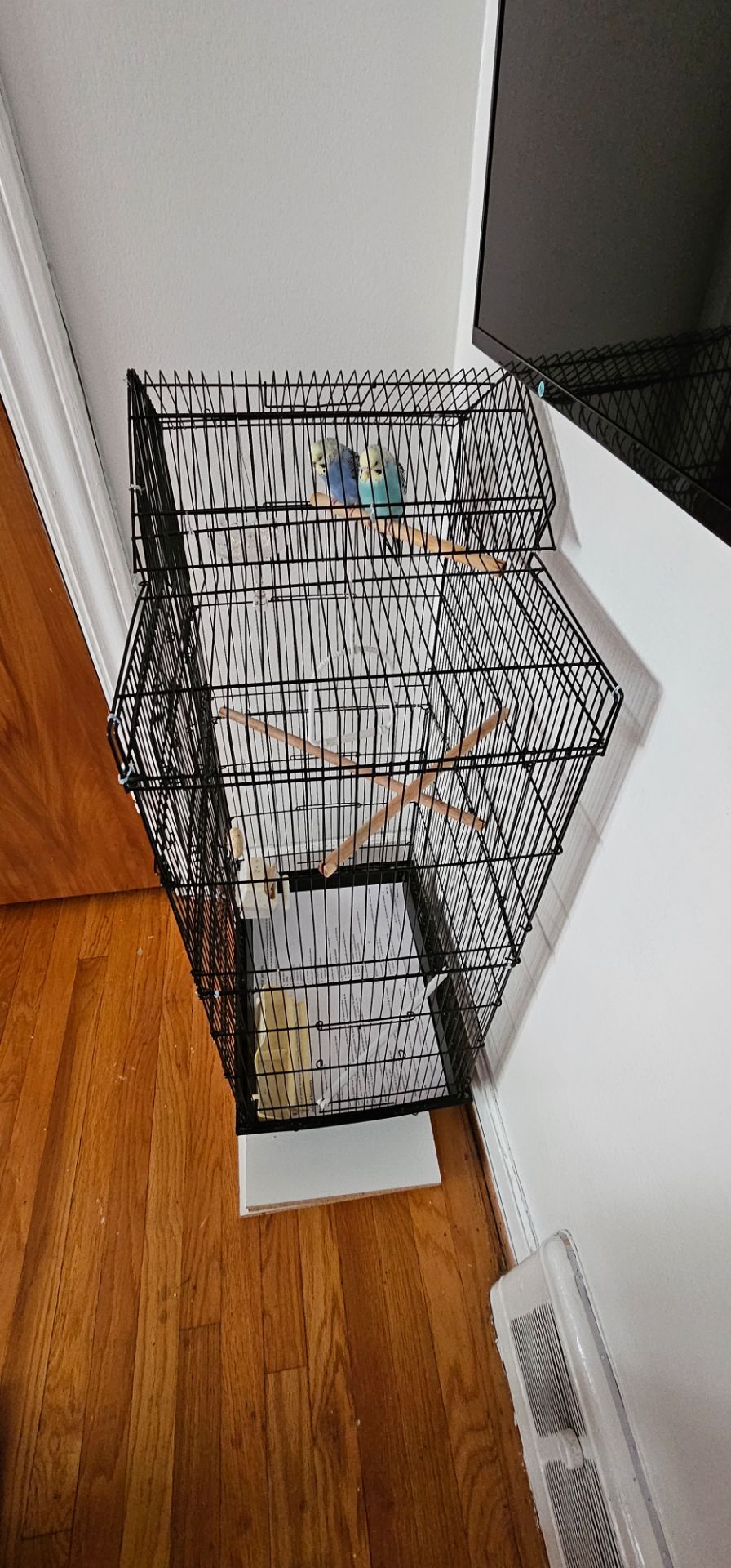 Bird Cage Sale - photo 3